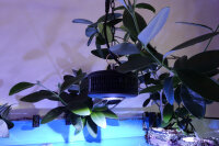 Kessil A360XE Tuna Blue (max. 90 W)