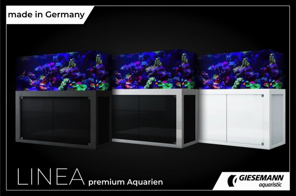 Giesemann LINEA 85/160 Aquarium 160x60x55cm