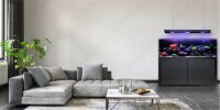 Giesemann LINEA 85/160 Aquarium 160x60x55cm