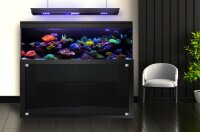 Giesemann LINEA 85/160 Aquarium 160x60x55cm