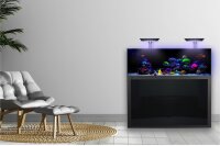 Giesemann LINEA 85/160 Aquarium 160x60x55cm