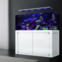 Giesemann LINEA 85/160 Aquarium 160x60x55cm