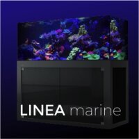Giesemann LINEA 85/160 Aquarium 160x60x55cm