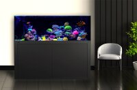 Giesemann LINEA 85/160 Aquarium 160x60x55cm