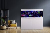 Giesemann LINEA 85/160 Aquarium 160x60x55cm
