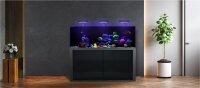 Giesemann LINEA 85/160 Aquarium 160x60x55cm