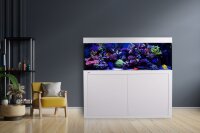 Giesemann LINEA 85/160 Aquarium 160x60x55cm