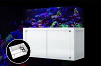 Giesemann LINEA 85/160 Aquarium 160x60x55cm