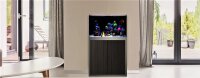 Giesemann LINEA 85/160 Aquarium 160x60x55cm