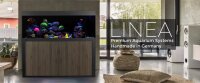 Giesemann LINEA 85/160 Aquarium 160x60x55cm