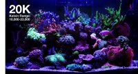 *NEU* Red Sea ReefLED G2 60 (60W) (R35910EUR)