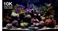 *NEU* Red Sea ReefLED G2 170 (170W) (R35930EUR)