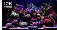 *NEU* Red Sea ReefLED G2 170 (170W) (R35930EUR)