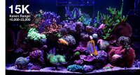 *NEU* Red Sea ReefLED G2 170 (170W) (R35930EUR)