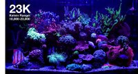 *NEU* Red Sea ReefLED G2 170 (170W) (R35930EUR)
