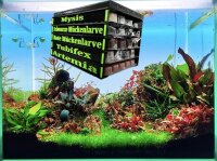 *NEU* Frostfutterbox Organizer 5-fach inkl. Beschriftung